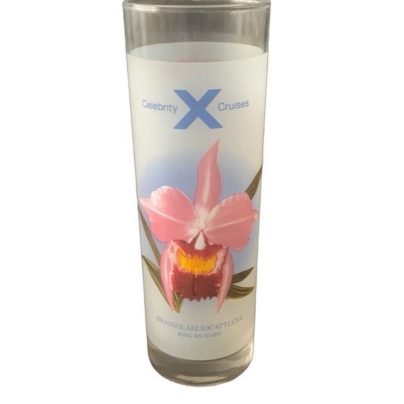 Vintage Celebrity Cruises Frosted High Ball Cocktail Recipe Lot Set Lot Of 4 - Picture 2 of 11